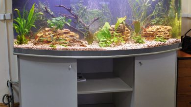 Photo of Массаж для улучшения осанки