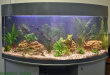 Photo of Массаж для улучшения психологического здоровья