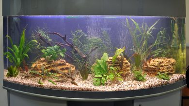 Photo of Массаж для улучшения психологического равновесия