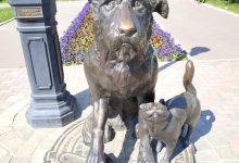 Photo of Массаж для улучшения психологической стабильности