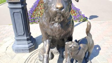 Photo of Массаж для улучшения психологической стабильности