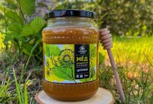 Photo of Массаж для улучшения психического равновесия