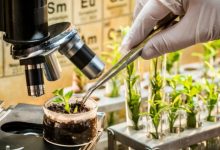 Photo of Массаж для улучшения сосудистой системы