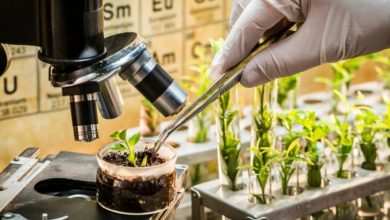 Photo of Массаж для улучшения сосудистой системы