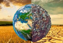 Photo of Оздоровительный массаж детей