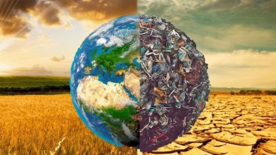 Photo of Оздоровительный массаж детей