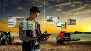 Photo of Массаж для укрепления мышц