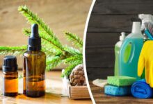 Photo of Ароматерапия в массаже: эффекты и польза эфирных масел