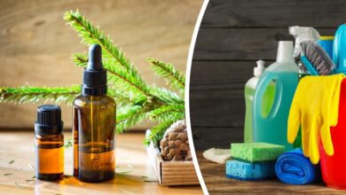 Photo of Ароматерапия в массаже: эффекты и польза эфирных масел